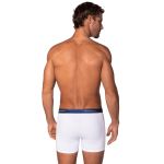 Kit 3 Peças Cueca Boxer Algodão Lupo