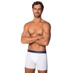Kit 3 Peças Cueca Boxer Algodão Lupo