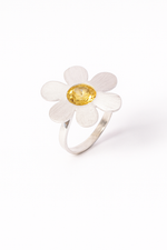 Anel flora