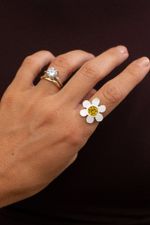 Anel flora