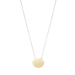 Colar Shell long