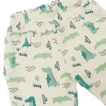 CONJUNTO CURTO INFANTIL MENINO CROCODILO