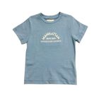 CONJUNTO INFANTIL MENINO CAMISETA E BERMUDA LISTRADA
