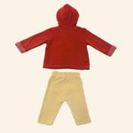 CONJUNTO BEBÊ MENINA BLUSA COM CAPUZ DE ORELHINHAS  3D E CALÇA