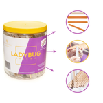 Kit Lixa Unha Palito Bamboo Manicure Salão - 100 Unidades