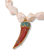 Colar Pedras com Dente Colorido