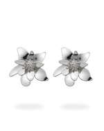 Brinco Orquídea Silver