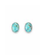 Brinco Oval Turquesa Cravejado Prata 925 