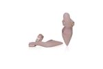 Mule Provence - Nude