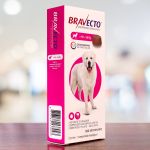 Antipulgas e Carrapatos MSD Bravecto para Cães de 40 a 56 Kg