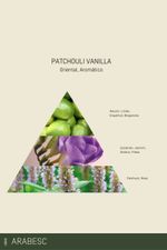 Refil Sabonete Líquido 500 ml | Patchouli Vanilla