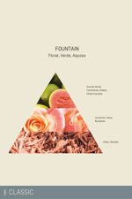 Sabonete Líquido 250 ml | Fountain - Classic