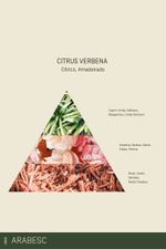 Sabonete Líquido 350 ml | Citrus Verbena - Arabesc