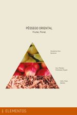 Refil Sabonete Líquido 500 ml | Pêssego Oriental