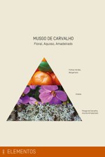 Refil Sabonete Líquido 500 ml | Musgo de Carvalho