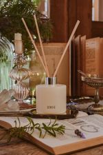 Difusor de Perfume 200 ml | Lavanda da Sorte - Practical Magic