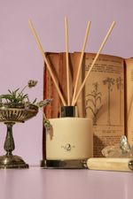 Difusor de Perfume 200 ml | Lavanda da Sorte - Practical Magic
