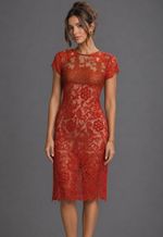 Vestido Com Manga Renda e Detalhe em Metal