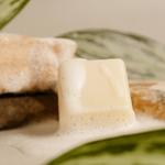 Condicionador Sólido Raiz 55g