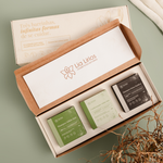 Kit Raiz & Detox Purifica 