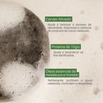 Trio de Shampoo Detox Purifica 