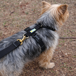 Peitoral para cachorro antipuxão SMART 3 em 1 tamanho PP