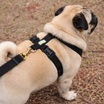 Peitoral para cachorro antipuxão SMART 3 em 1 tamanho P