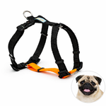 Peitoral para cachorro antipuxão SMART 3 em 1 tamanho P