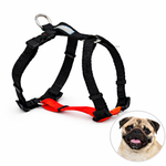 Peitoral para cachorro antipuxão SMART 3 em 1 tamanho P