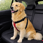 Peitoral para cachorro antipuxão SMART 3 em 1 tamanho GG