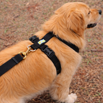 Peitoral para cachorro antipuxão SMART 3 em 1 tamanho GG