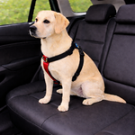 Peitoral para cachorro antipuxão SMART 3 em 1 tamanho G