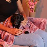 Cobertor Edredom Pet Quentinho para cães tamanho G