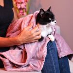 Cobertor Edredom Pet Quentinho para cães tamanho GG