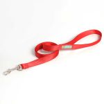 Guia para passeio CLASSIC para cachorro