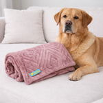 Cobertor Edredom Pet Quentinho para cães tamanho GG