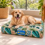 Cama pet ABSOLUTE tamanho G – Estampas de coleções anteriores