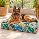 Cama pet ABSOLUTE tamanho GG – Estampas de coleções anteriores