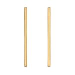Brinco Palito Dourado