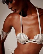 Top Shell Disco