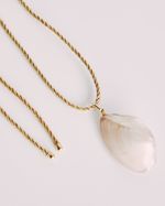 Colar Concha Natural Fio de Ouro
