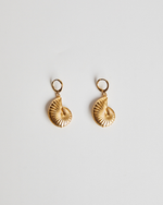 Argola Concha Espiral