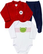 Conjunto Bebê Plush Ondulê e Suedine Silk Screen Sapinho