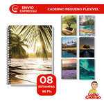 CADERNO 1/4 FLEXIVEL 96 FOLHAS NEW