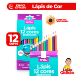 LAPIS DE COR SEXTAVADO 12 CORES