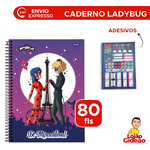 Caderno Universitário 01 Matéria 80Fls Lady Bug