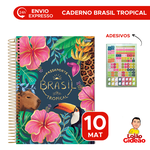 Caderno Universitário 10 Matérias Brasil Tropical 160 Fls