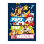 Caderno Brochura Pequeno 80 Folhas 1 Matéria Patrulha Canina Foroni
