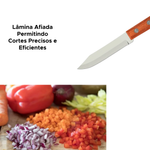 Faca 3 Polegadas de Inox Cabo De Madeira Para Cozinha Churrascos Legumes Saladas 17,5cm x8cm
