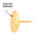 CAIXA PERCEVEJO DOURADO COM 100 UND